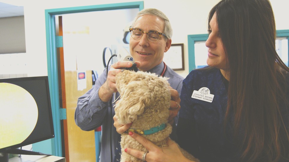 Comprehensive Service