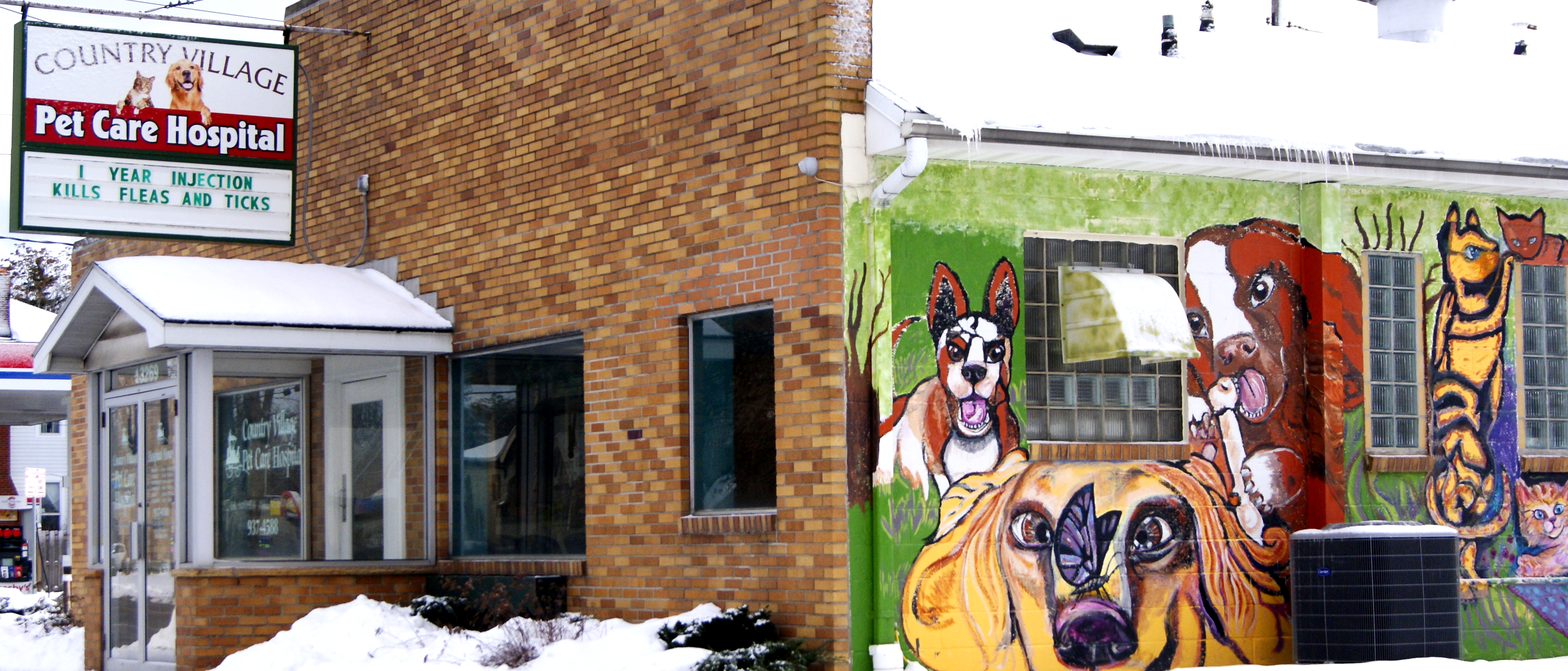 Country village Pet Care Hospital clinic